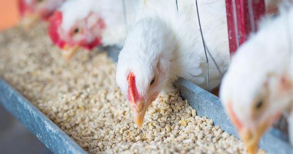 Vereador requer emenda parlamentar para constru&ccedil;&atilde;o de f&aacute;brica de ra&ccedil;&atilde;o