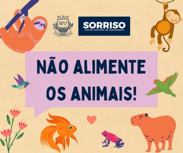 Sorriso: Prefeitura refor&ccedil;a novamente: n&atilde;o alimente animais silvestres
