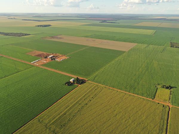 Como Sorriso e as cidades da soja mudam o interior do Brasil