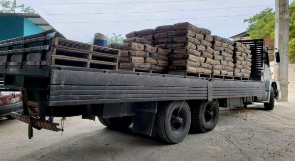 Sorriso: tentando comprar cimento homem perde R$ 1.050 em golpe