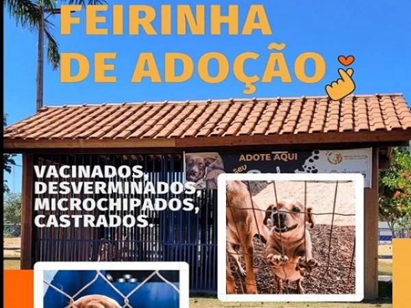 Sorriso: Pra&ccedil;a Antenor Balbinot contar&aacute; com feira de ado&ccedil;&atilde;o de c&atilde;es nos dias 27 e 28 de julho