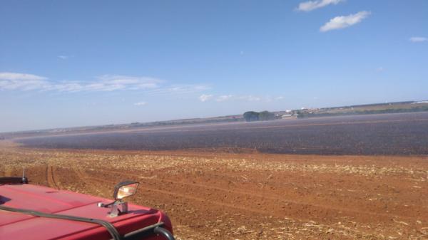 Lavoura de milho pega fogo no Campinho Verde em Lucas Do Rio Verde-MT