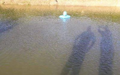 MT: Crian&ccedil;a de 2 anos morre afogada ap&oacute;s cair em tanque de peixes enquanto estava em pesqueiro com o pai