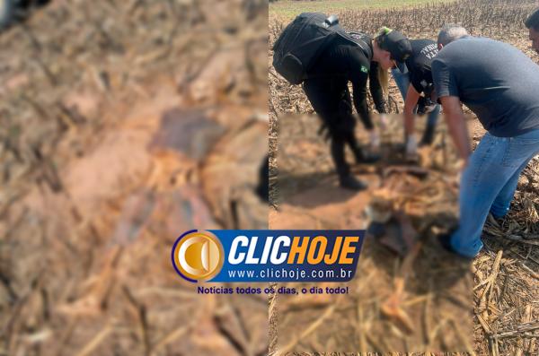 Sorriso: Ossada &eacute; encontrada em fazenda no Barreiro