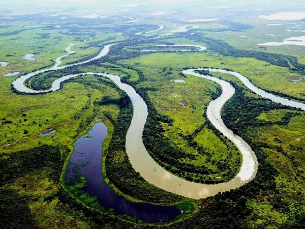 MT: Projeto de lei que pro&iacute;be planta&ccedil;&atilde;o de soja no Pantanal &eacute; adiado na ALMT e gera debates
