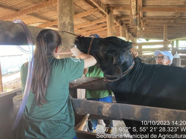 Nova Ubirat&atilde;: M&eacute;dica Veterin&aacute;ria &eacute; contratada pela Secretaria de Agricultura para atender &agrave;s demandas dos produtores