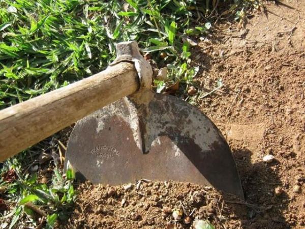 MT: Membros de fac&ccedil;&atilde;o s&atilde;o presos ap&oacute;s aplicarem "salve" obrigando jovens a carpir terreno