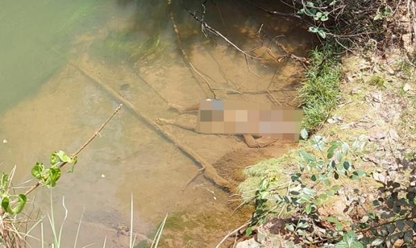 Nova Ubirat&atilde;: Corpo &eacute; encontrado no Rio Tartaruga sentido o Assentamento Cedro Rosa