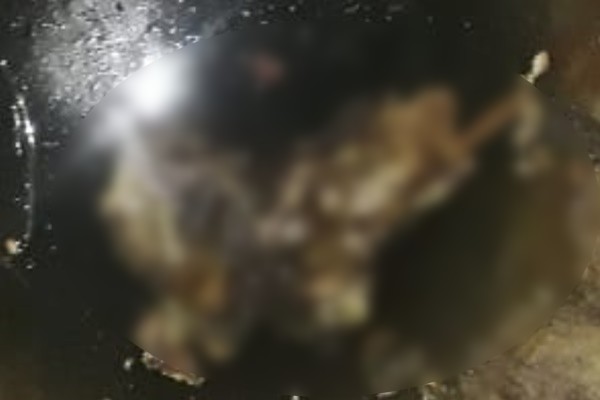 Cadáver é encontrado em poço artesiano no Jardim Vitória