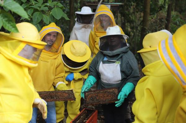 Sorriso: Apicultores finalizam curso e aprendem t&eacute;cnicas de produ&ccedil;&atilde;o de abelhas rainhas