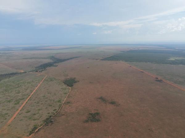 MT: Em crise, grupo leiloa fazenda de 8,8 mil hectares por R$ 200 milh&otilde;es para quitar d&iacute;vidas 