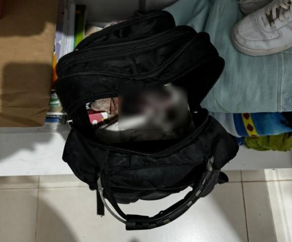 MT: Adolescente, de 14 anos, comete aborto e esconde feto, de 8 meses, dentro mochila no guarda-roupas
