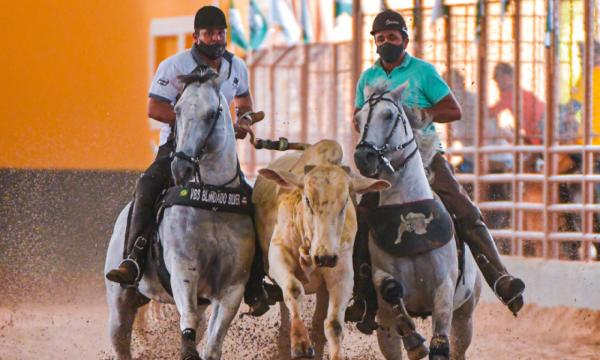 Sorriso: C&acirc;mara aprova em 1&ordf; vota&ccedil;&atilde;o PL que institui a Festa da Vaquejada no Calend&aacute;rio de Eventos