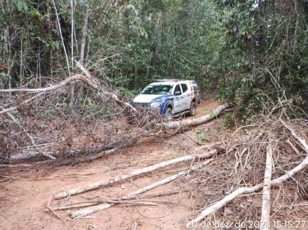 Nova Ubirat&atilde;: PM &eacute; recebida a tiros durante a&ccedil;&atilde;o contra desmatamento ilegal 