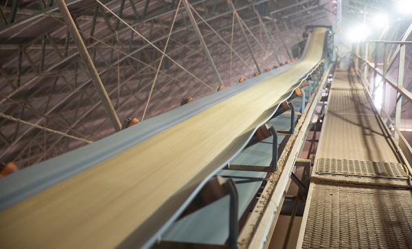 Cai 8,5% volume de soja esmagada nas indústrias em Mato Grosso