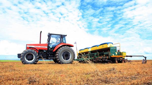 Sorriso: presidente recomenda calma para produtores não terem prejuízos com plantio antecipado de soja