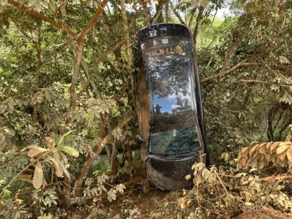 Sorriso: Carro vai parar em cima de &aacute;rvore na estrada do Pontal do Verde; Motorista disse que desviou de carro que vinha na contram&atilde;o