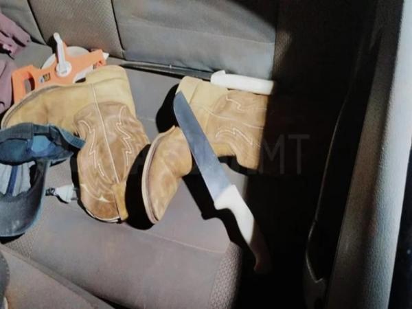 MT: Funcion&aacute;rios degolam chefe em fazenda e escondem corpo em freezer