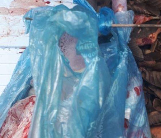 Recém-nascido é jogado em matagal e PC vai investigar o caso