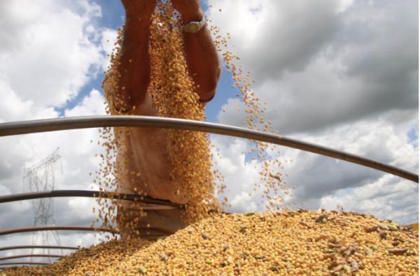 Soja disponível em Mato Grosso teve alta de 1,41% e fechou a R$ 76