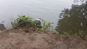Corpo de jovem que saiu de festa e pulou em rio é encontrado