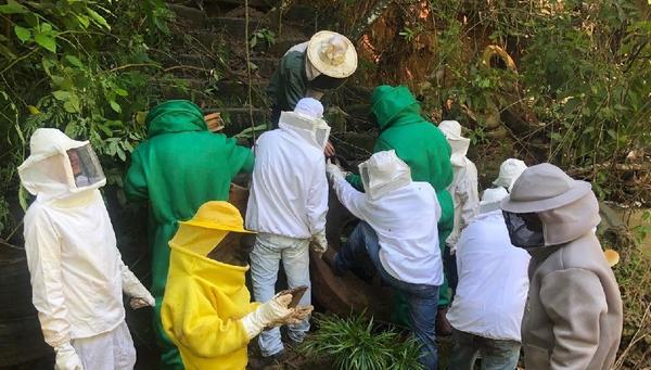 Sorriso: Reeducandos do CRS se formam em cursos de apicultura