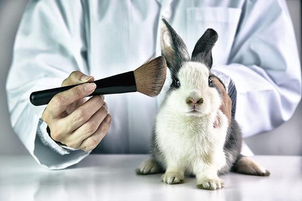 MT: Governo veta projeto que proíbe uso de animais em testes para produtos cosméticos