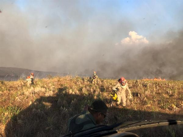 Órgãos do Estado ampliam integração no combate a incêndios florestais em Mato Grosso