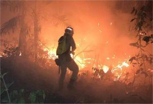 Peritos americanos chegam a MT para combater incêndios florestais