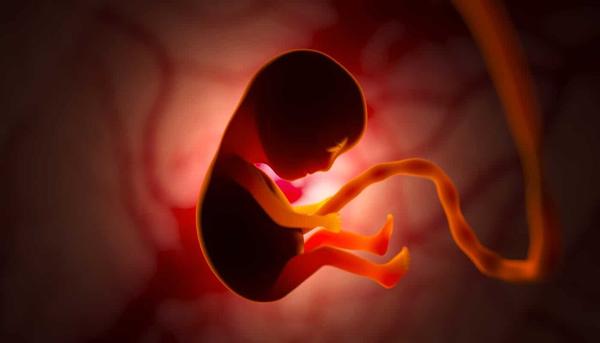 Lei obriga que mulheres vejam imagens de fetos antes de aborto legal