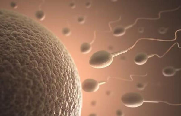 Gel anticoncepcional masculino tem 99% de eficácia; diz estudo 